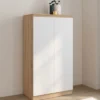 Armoire à chaussures 18 paires 2 portes blanc et effet bois