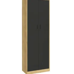 Armoire de bureau multifonction bois noir