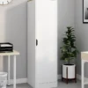 Armoire de rangement 1 porte avec étagères blanc et bois