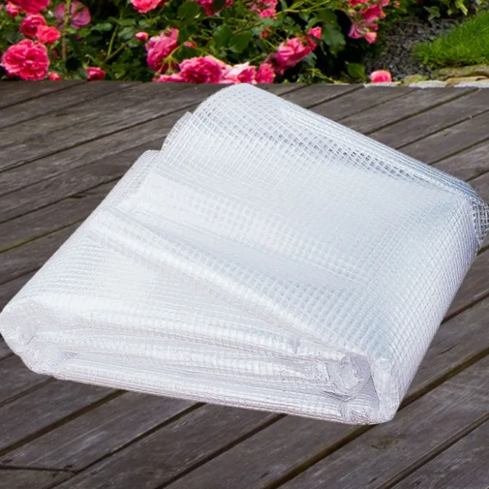 Bâche armée transparente 5x8 m renforcée