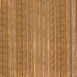 Brise-vue occultant imprimé bambou 1,8 x 10 M 160 gr /m²