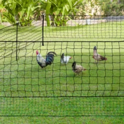 Filet pour poulailler 12 m