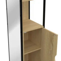 Meuble colonne salle de bain 1 porte avec miroir et étagères
