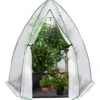 Serre hivernage grand format pour plantes
