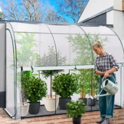 Serre murale pour hivernage des plantes