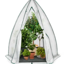 Serre pour hivernage des plantes