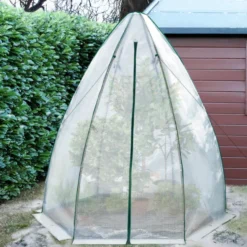 Serre pour hivernage des plantes