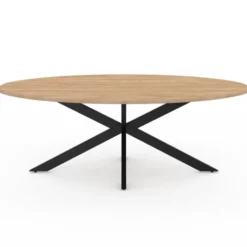 Table basse ovale bois et métal noir avec pied araignée