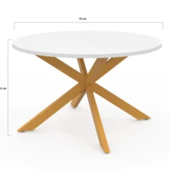 Table basse ronde blanche et bois 70 cm pied araignée