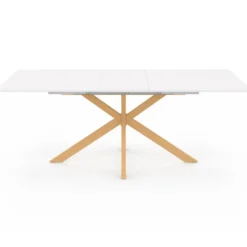 Table à manger extensible rectangle 6-10 personnes bois