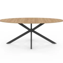 Table à manger ovale 10 personnes noire et bois